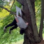 Nerd hanging wedgie from tree