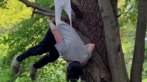 Nerd hanging wedgie from tree