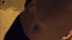 Paying Stranger for Public Wedgie