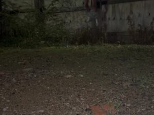 Wedgietwink In A Public Hanging Wedgie – Wedgietube | Wedgie Porn