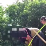 Goddess Spooky gives ripping wedgies - WedgieTube | Wedgie Porn